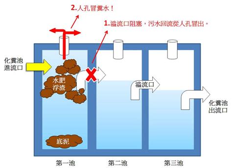 化糞池位置蓋哪最好|終結水肥全攻略，定期清理化糞池，別讓異味佔據了你。